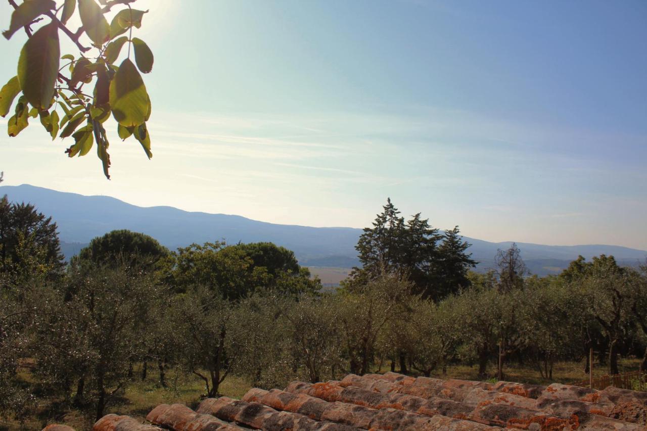 Il Nuvoloso Citta della Pieve Bagian luar foto